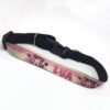 1020-collar-para-perro-personalizado-1.jpg Collar para mascota personalizado con fotos ajustable