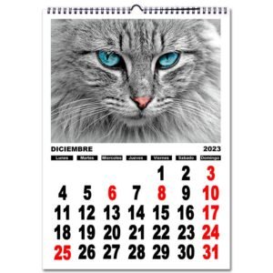 CALENDARIO-NUMEROS.jpg A3 Calendario personalizado con fotos pared NÚMEROS A3