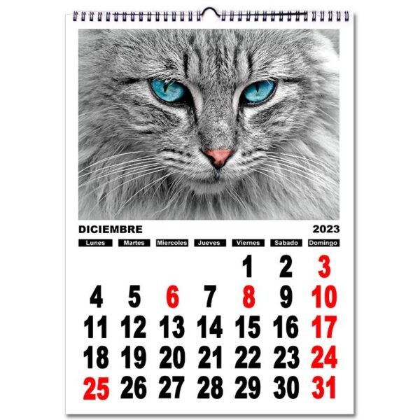 CALENDARIO-NUMEROS.jpg A4 Calendario personalizado con fotos pared NÚMEROS A4