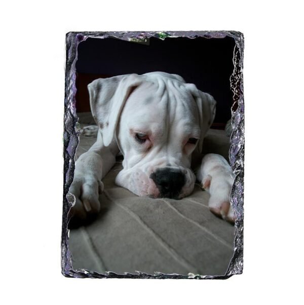 pizarra-15x20-vertical-1-1.jpg Pizarra personalizada con fotos 15x20 Vertical