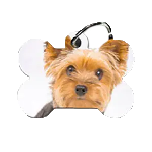 mascotas-cat Cuenco personalizado con fotos