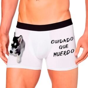 BOXER-01 Boxer